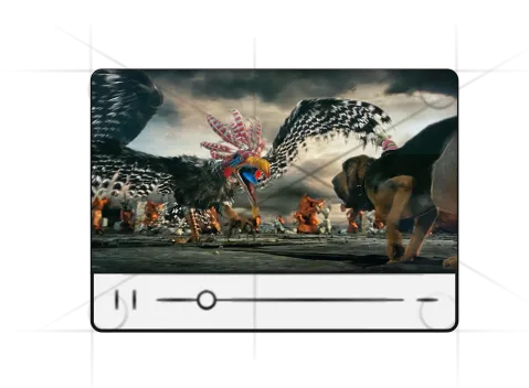 Blending science, storytelling and aesthetics